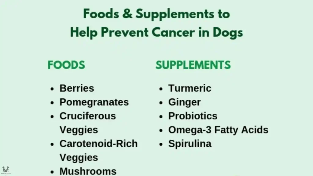 Foods to Avoid for dogs