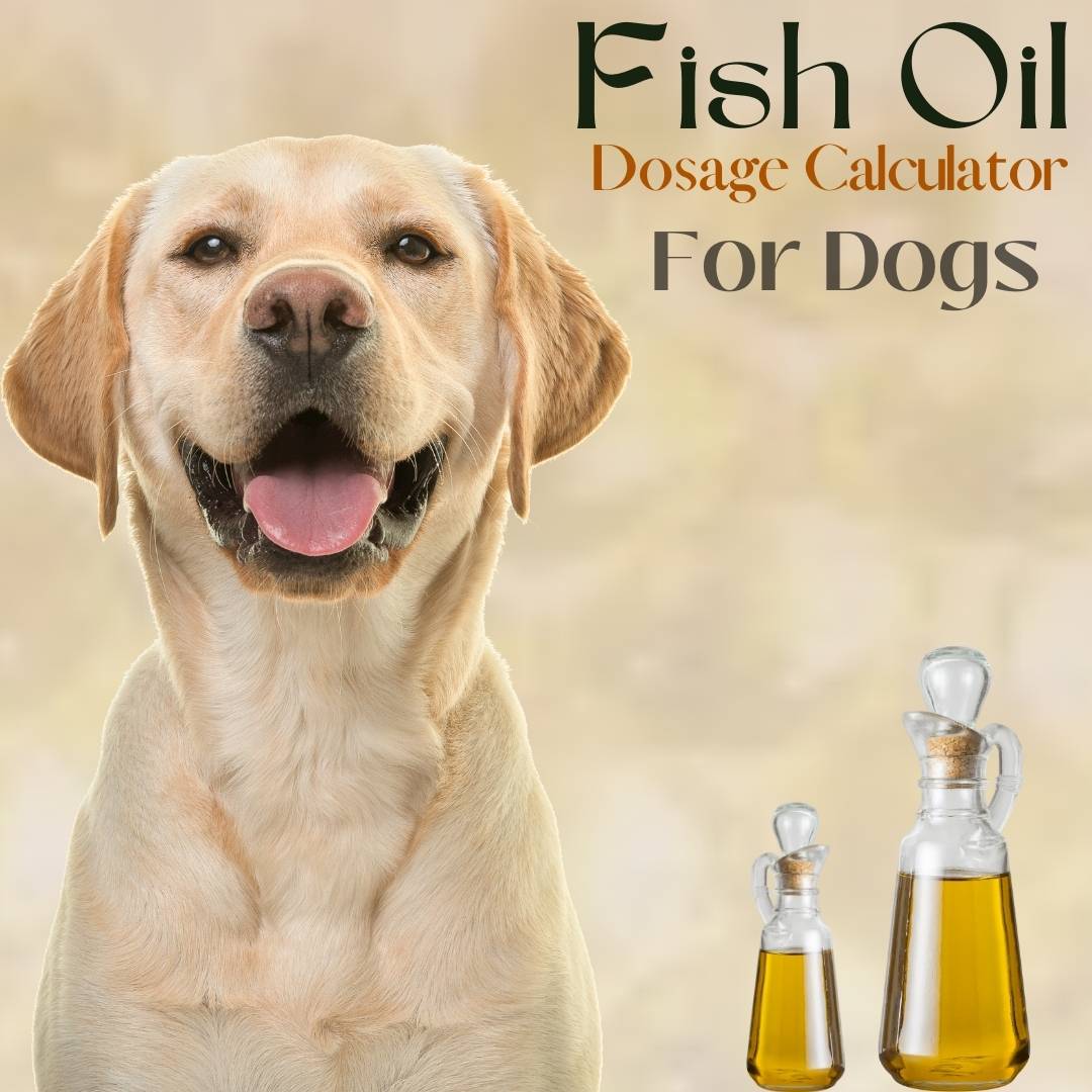 Fish Oil Dosage Calculator For Dogs
