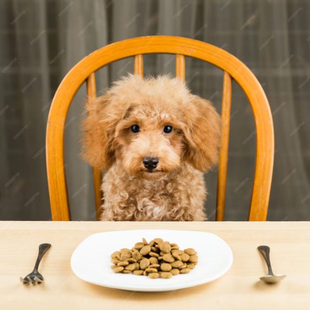 Chicken Meal in Dog Food