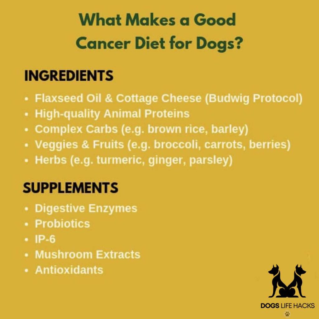 Diet for Dogs with Cancer
