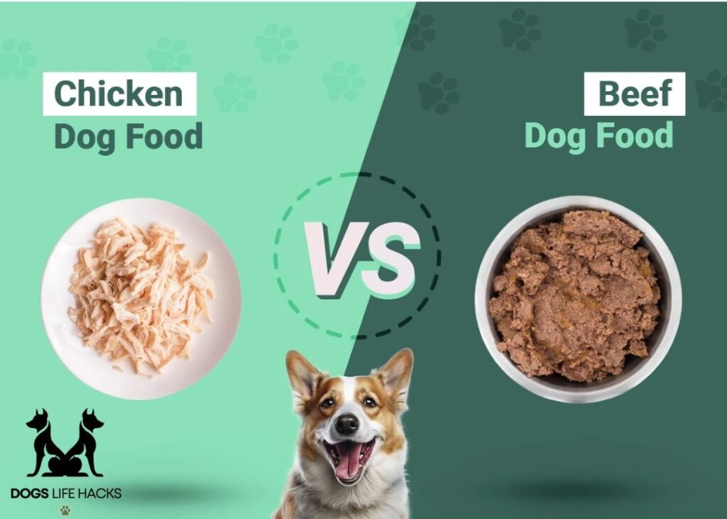 Comparing Chicken Meal to Other Protein Sources