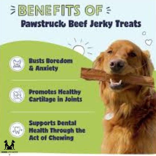 Beef Jerky for Dogs