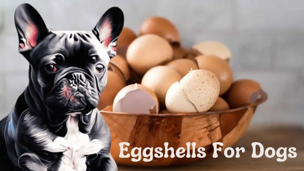 Eggshells For Dogs