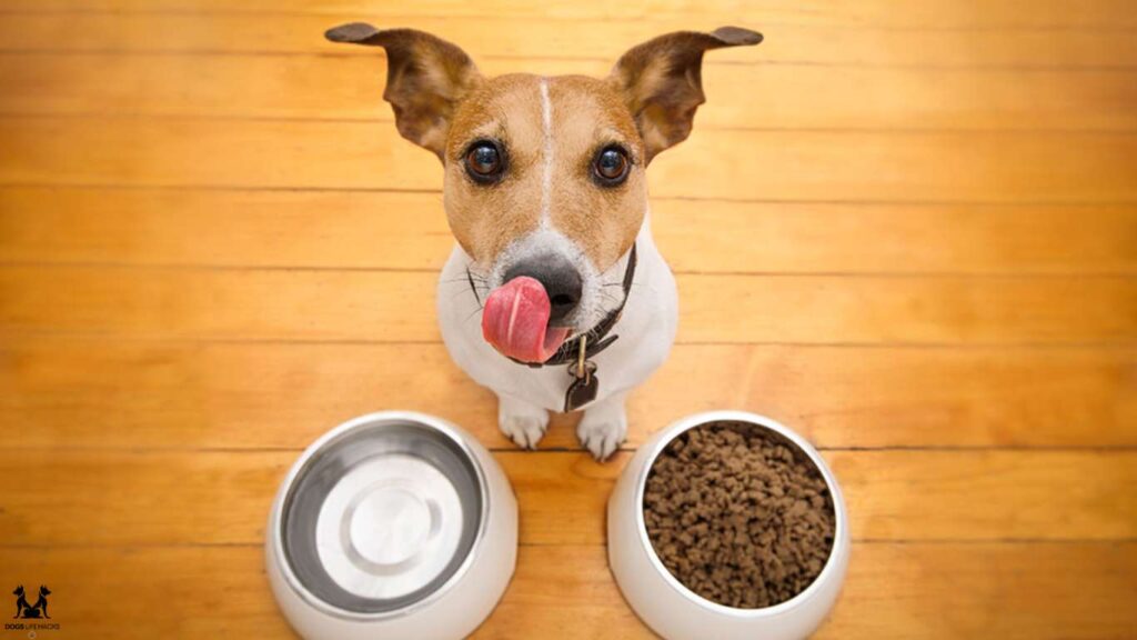 Is Chicken Liver Good For Dogs
