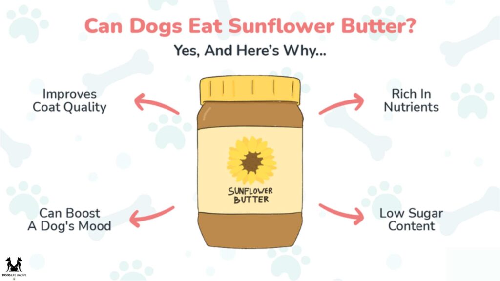 Can Dogs Have Sunflower Butter
