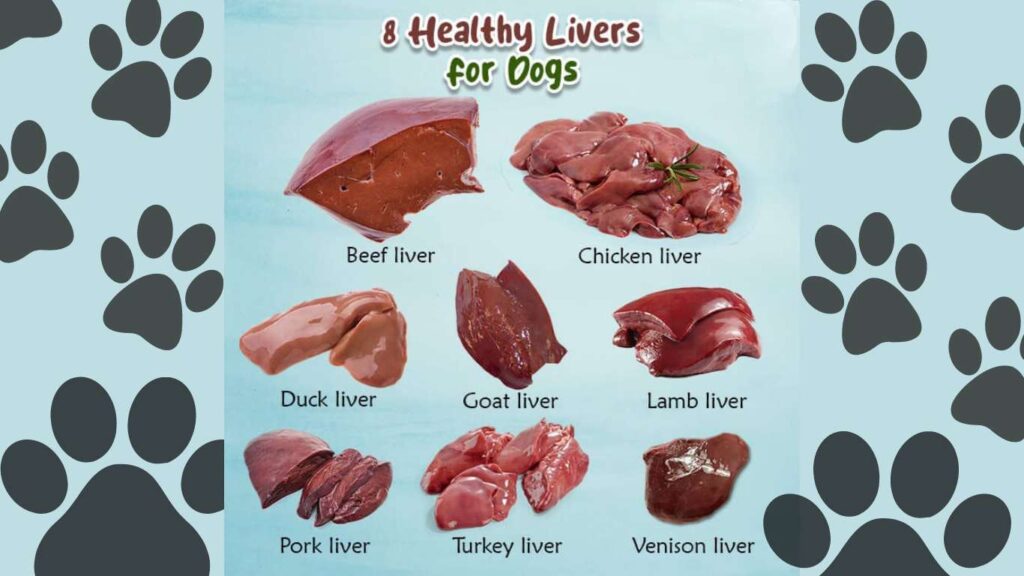 Is Chicken Liver Good For Dogs
