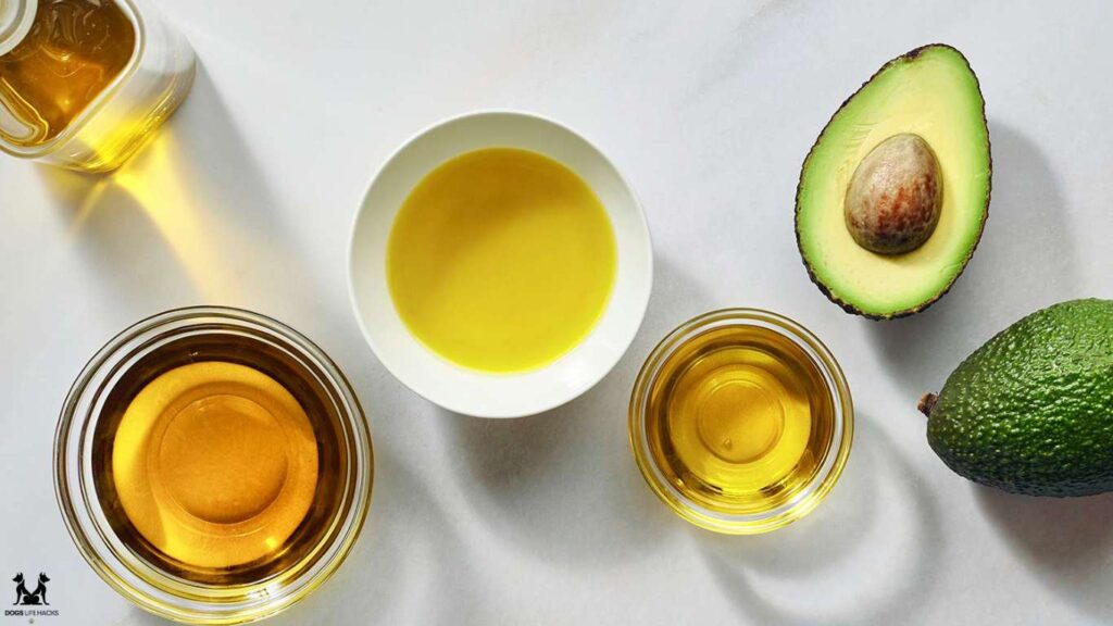 Is Avocado Oil Bad For Dogs
