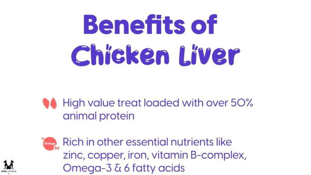 Is Chicken Liver Good For Dogs
