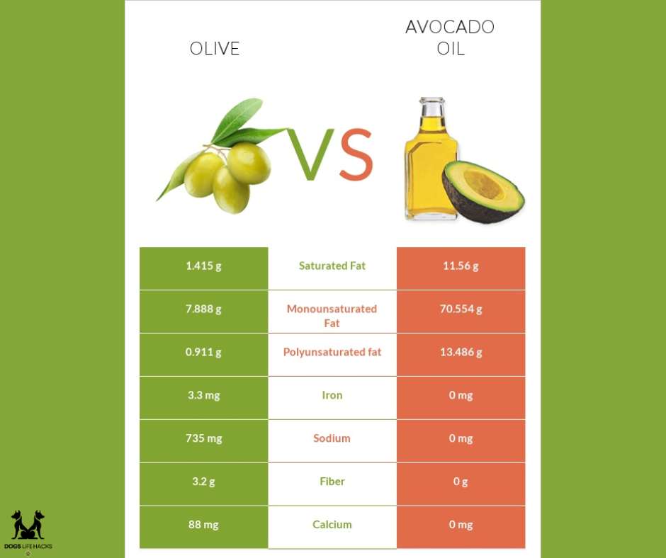 Is Avocado Oil Bad For Dogs
