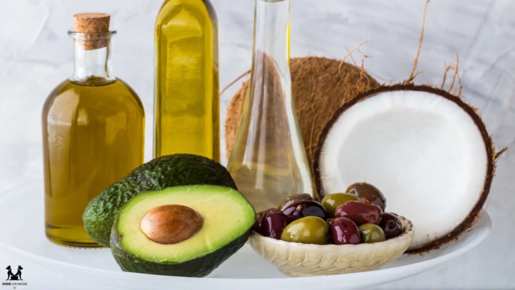 Is Avocado Oil Bad For Dogs
