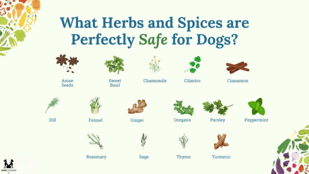 Herbs Good For Dogs
