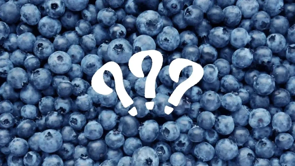 When Are Blueberries Bad for Dogs?