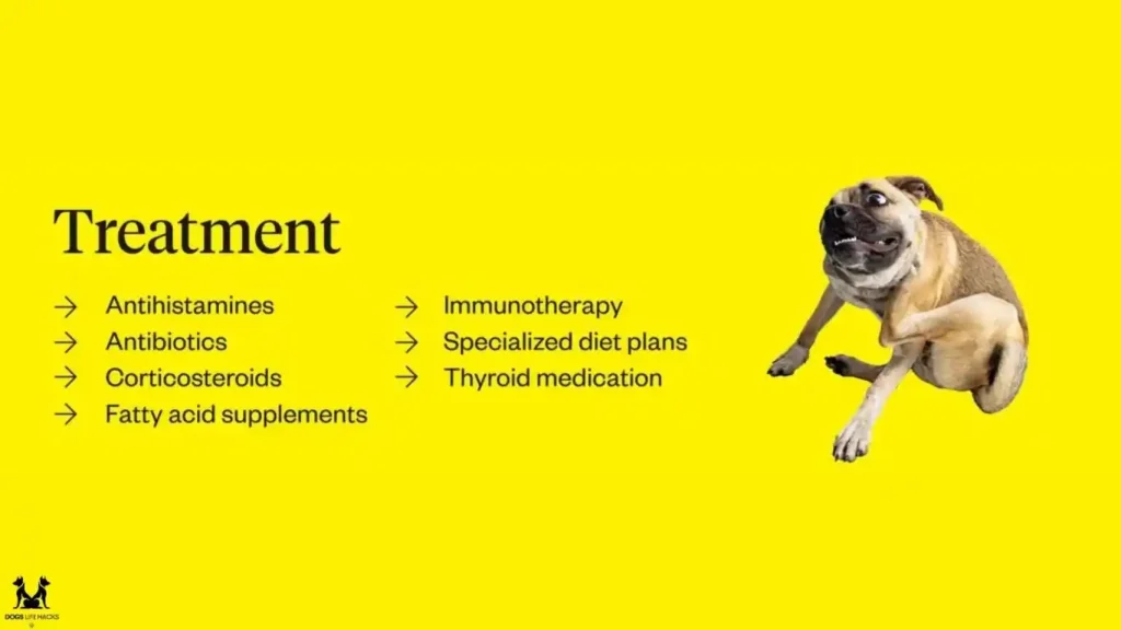 Effective Treatments for Dog Skin Allergies