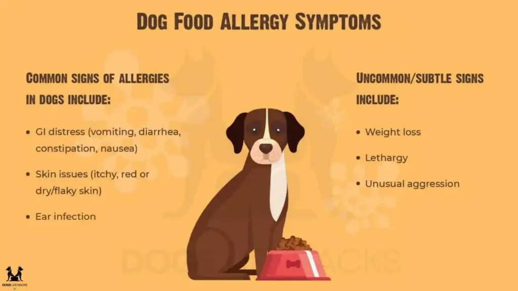 Food Allergies in Dogs