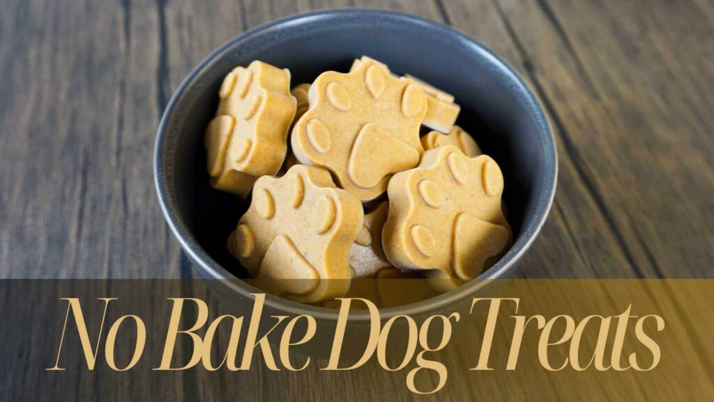 no bake dog treats