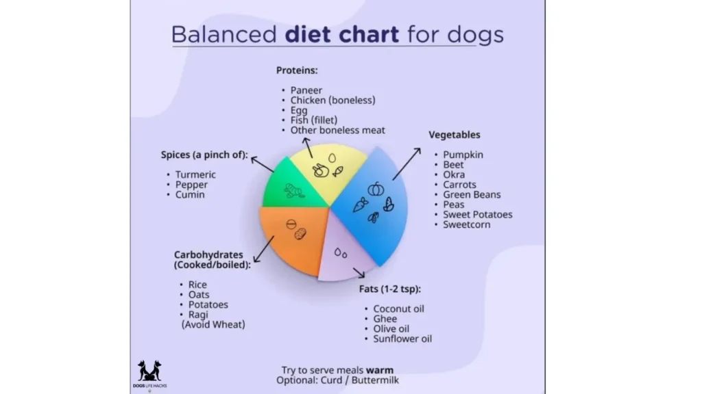 Protein for Dogs
