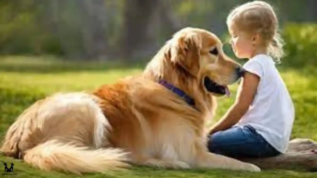 Golden Cocker Retriever: Kid-Friendly