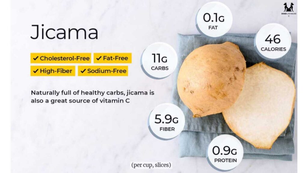 Can Dogs Have Jicama