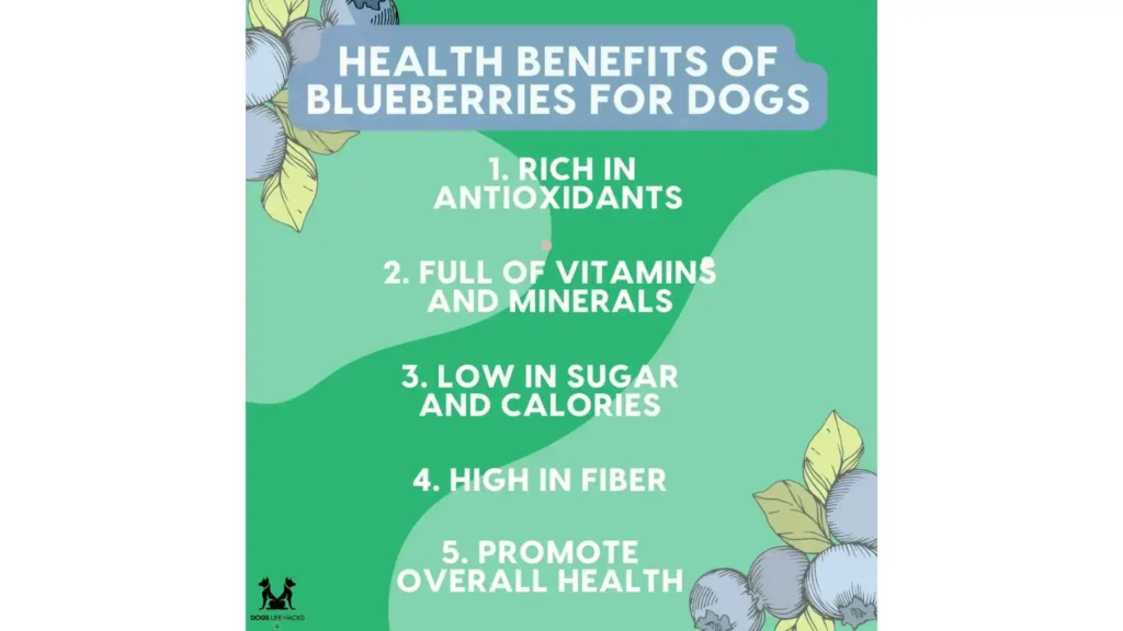 Health Benefits of blueberries