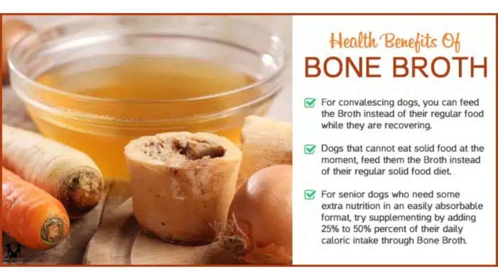 Bone Broth for Dogs