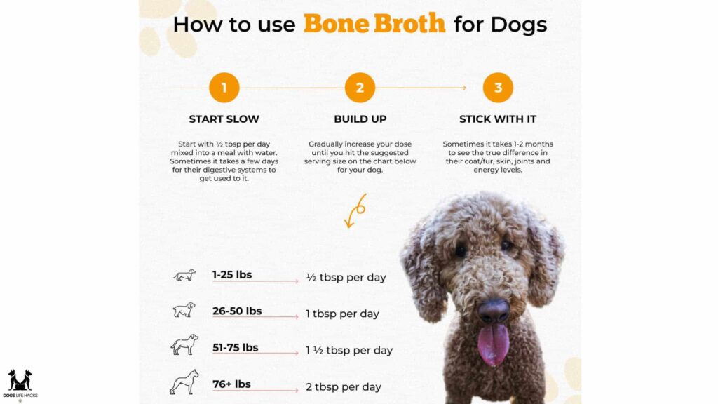 bone broth for dogs