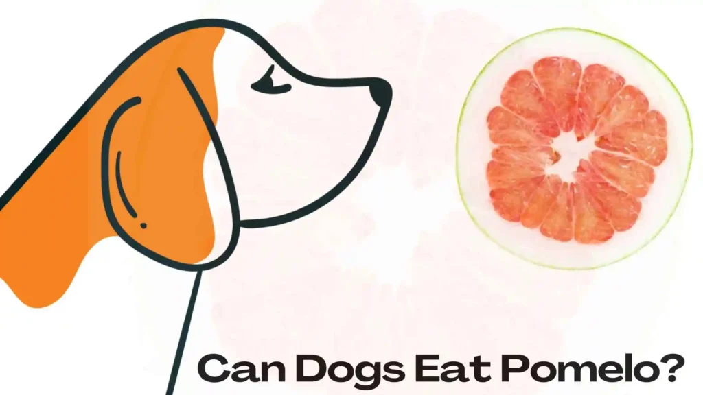 Can Dogs Eat Pomelo