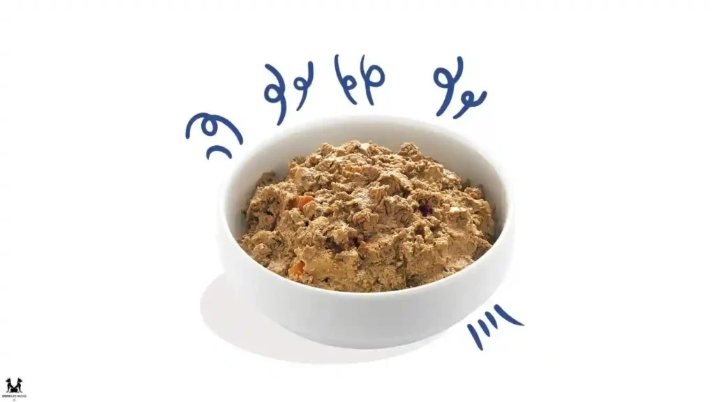 Grain-Free Turkey Dog Food