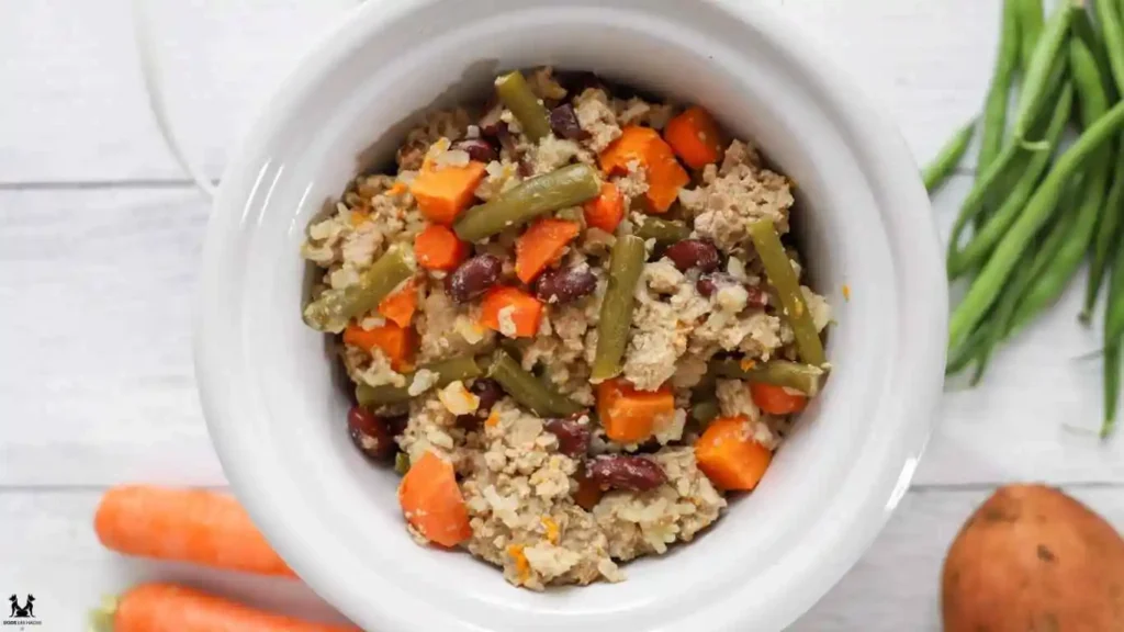 Healthy Turkey Dog Kibble