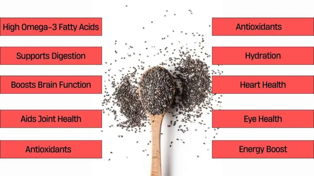 Potential Benefits of Chia Seeds for Dogs