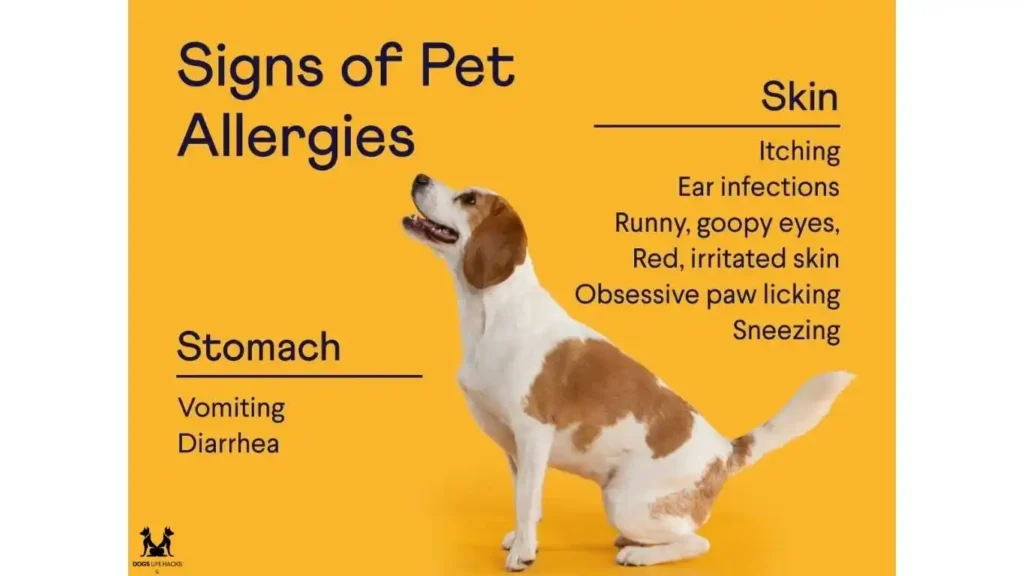 Hypoallergenic Chews