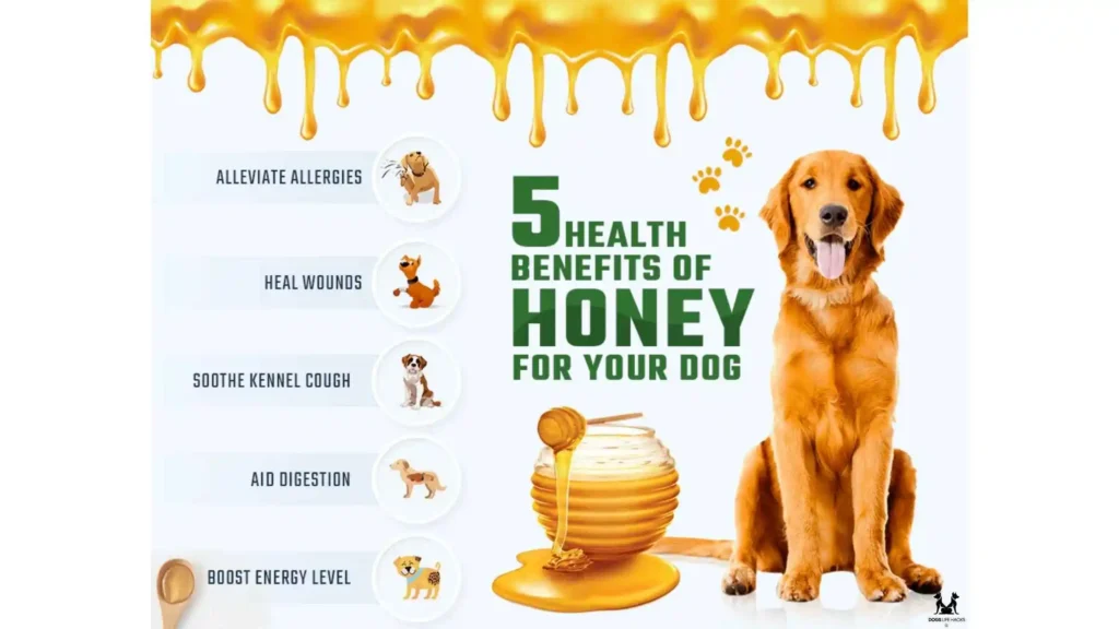 Is Manuka Honey Safe for Dogs