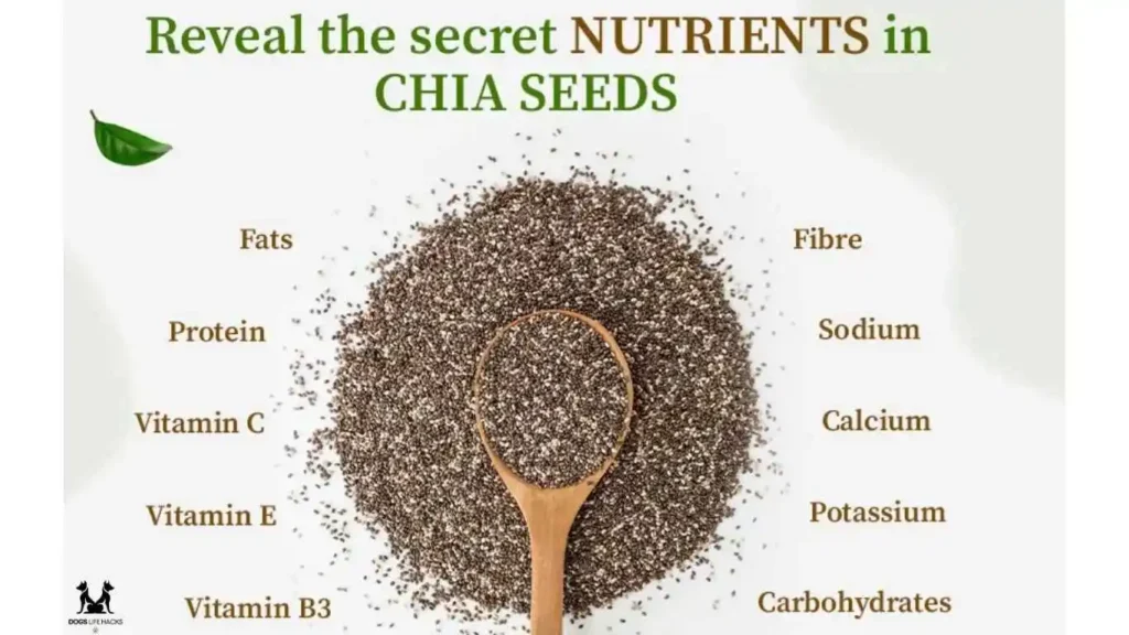 Nutritional Breakdown of Chia Seeds