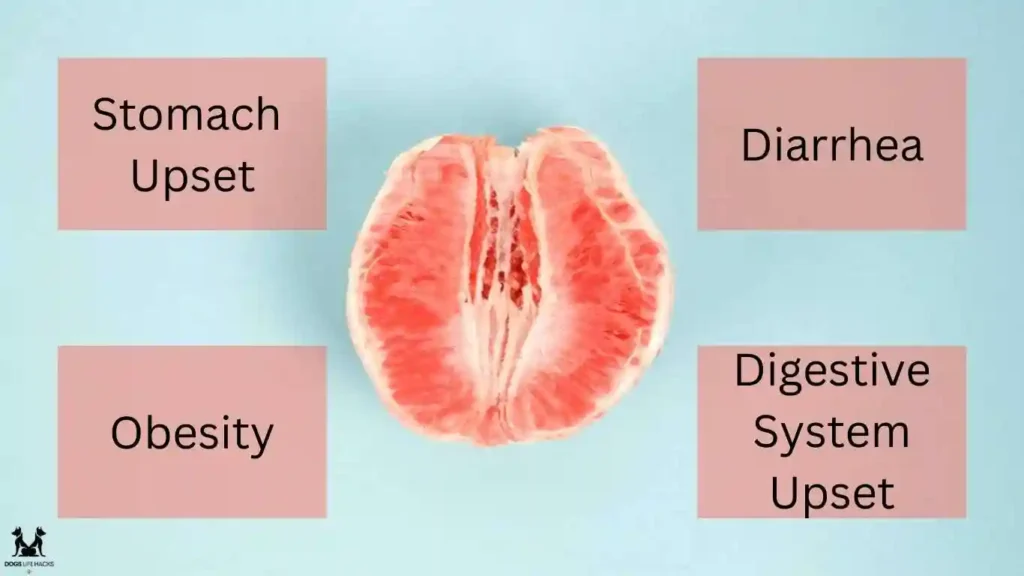 Potential Risks of Pomelo