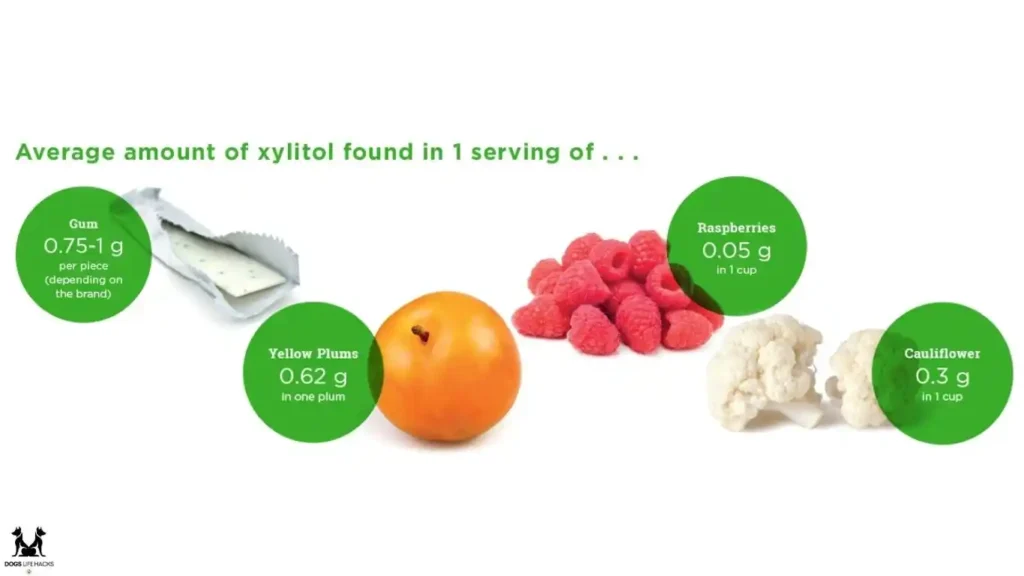 Substances That Contain Xylitol