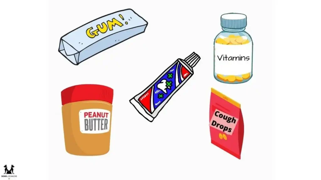 Things Contain Xylitol