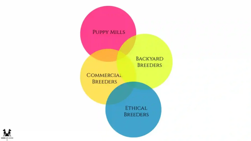 Tips for Choosing the Right Breeder