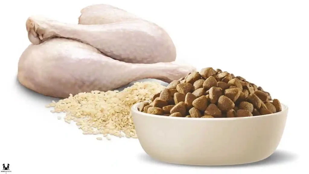 Turkey-Based Dog Food