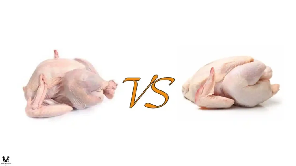 Turkey vs. Chicken Dog Food