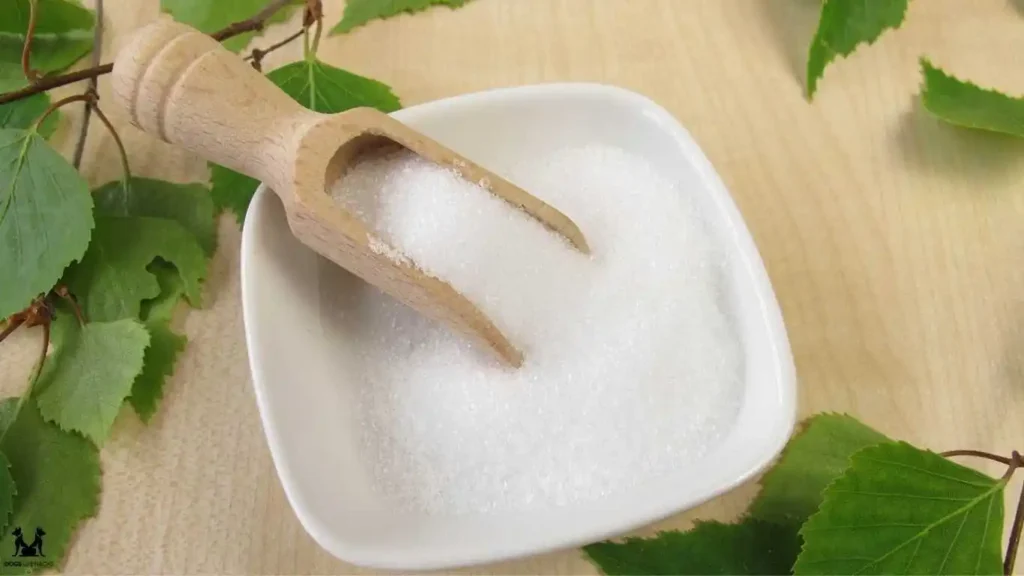 What is Xylitol