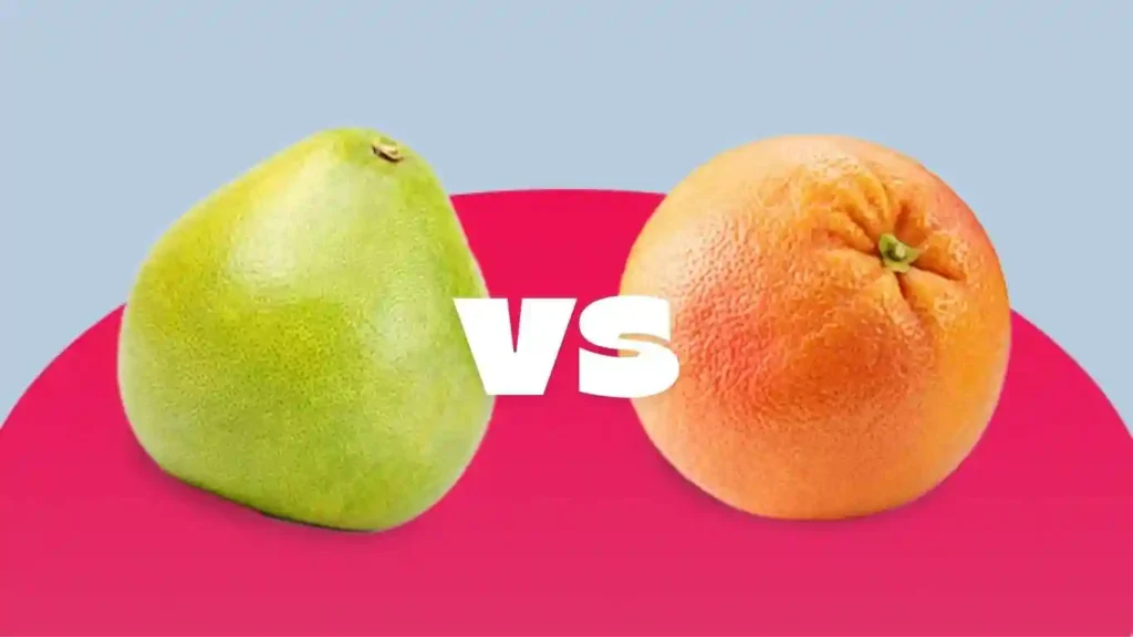 pomelo vs. grapefruit