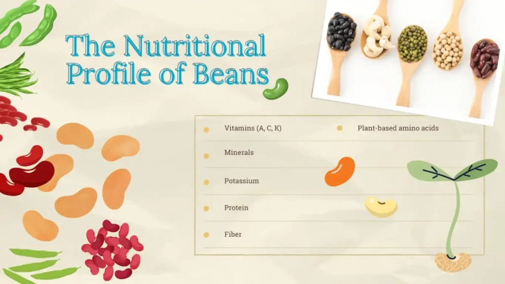 Benefits of Kidney Beans for Dogs