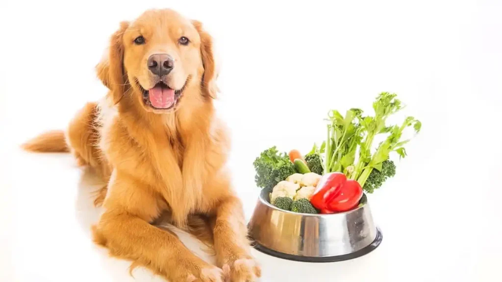 Best Low-Calorie Snacks for Dogs