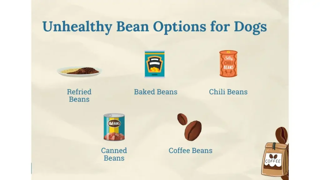 Risks of Kidney Beans for Dogs