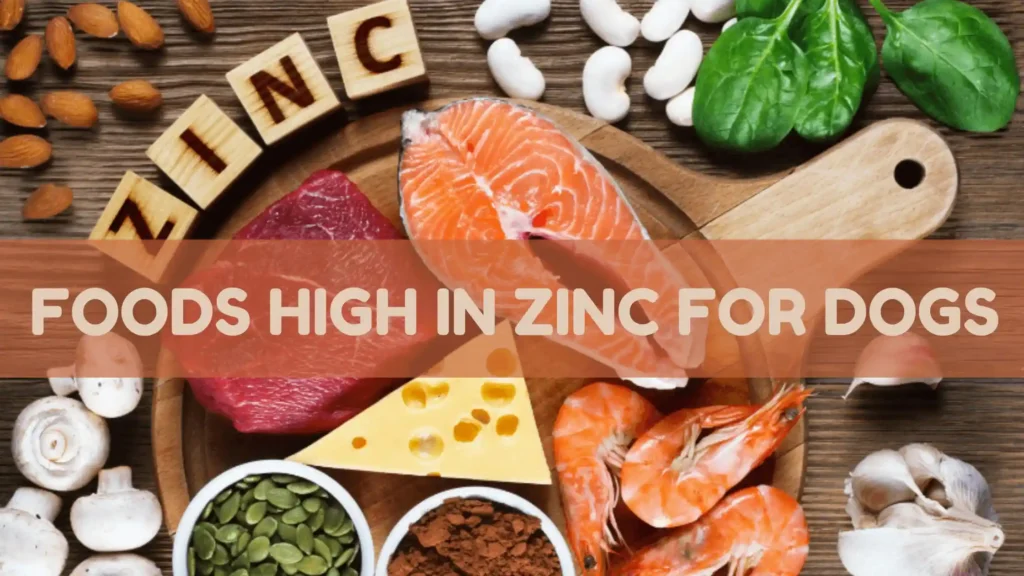 Foods High in Zinc for Dogs